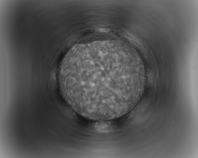 X0000089670373200707201644