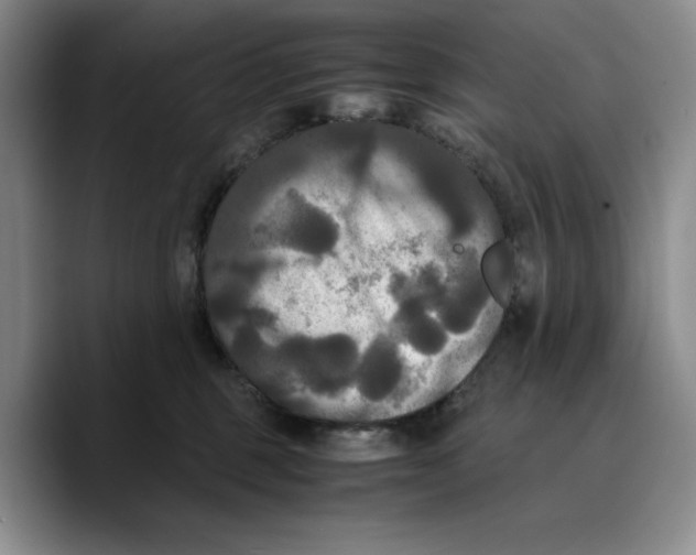 X0000089670375200707201644