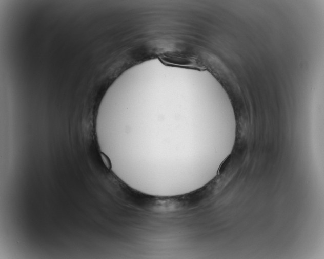 X0000089670376200707201644