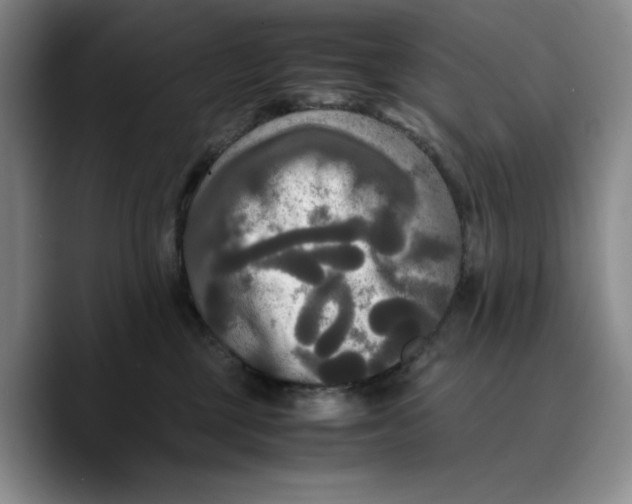 X0000089670377200707201644