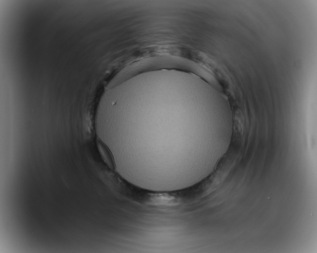 X0000089670380200707201644