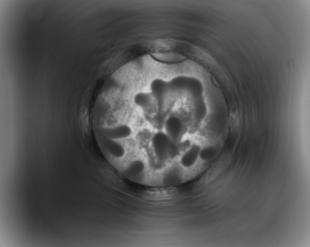 X0000089670381200707201644