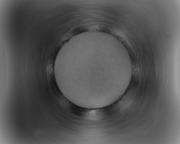 X0000089670382200707201644