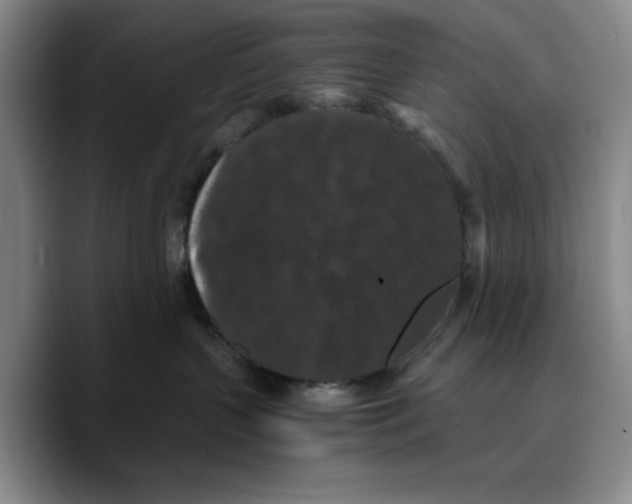 X0000089670383200707201644