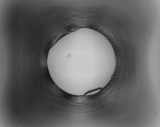 X0000089670384200707201644