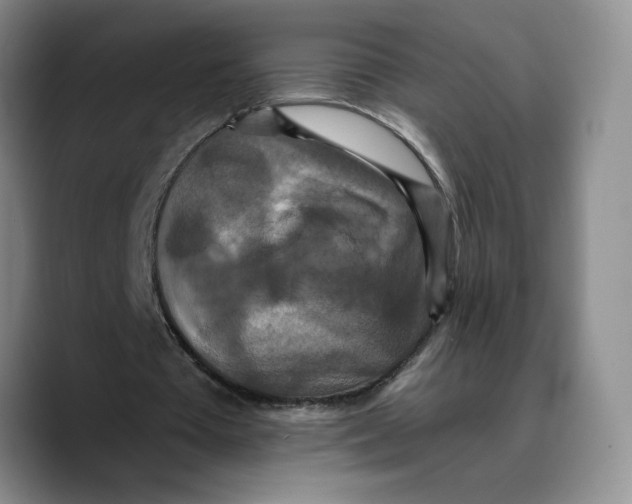 X0000089670385200707201643