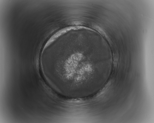 X0000089670386200707201643