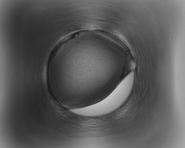 X0000089670387200707201643