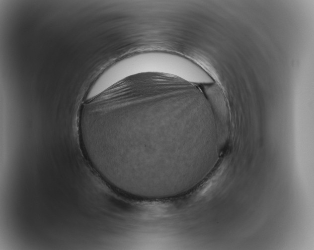 X0000089670389200707201643