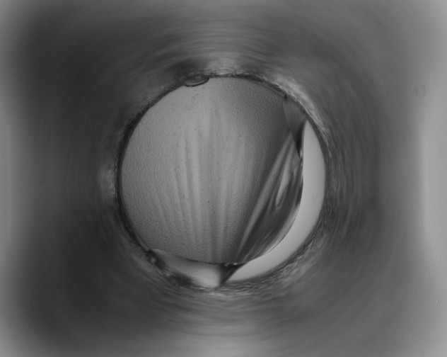 X0000089670393200707201643