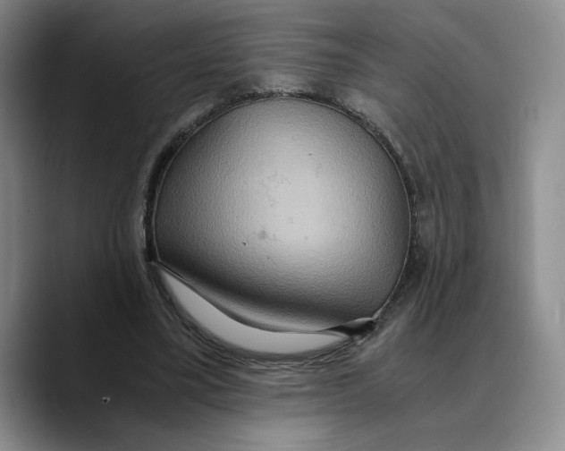 X0000089670395200707201643