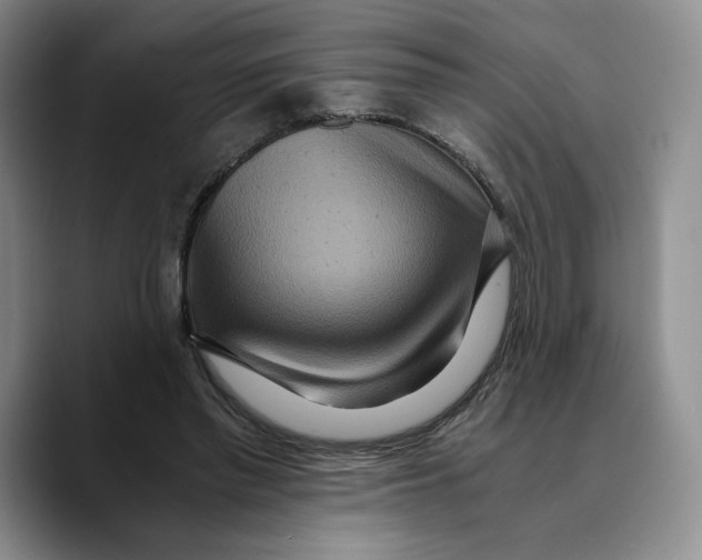 X0000089670397200707201643