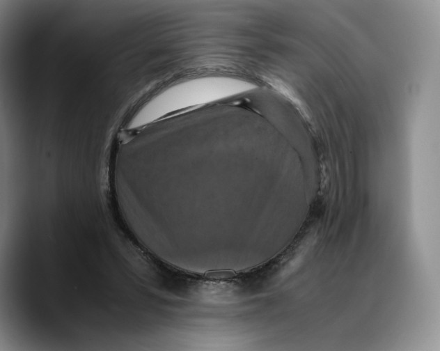 X0000089670399200707201643