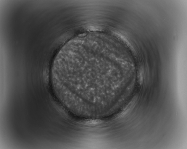 X0000089670402200707201643