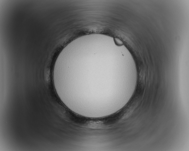 X0000089670403200707201643