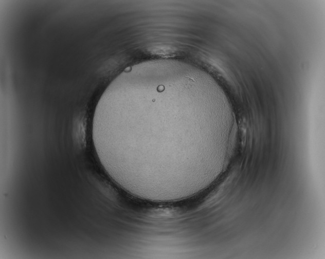 X0000089670404200707201643
