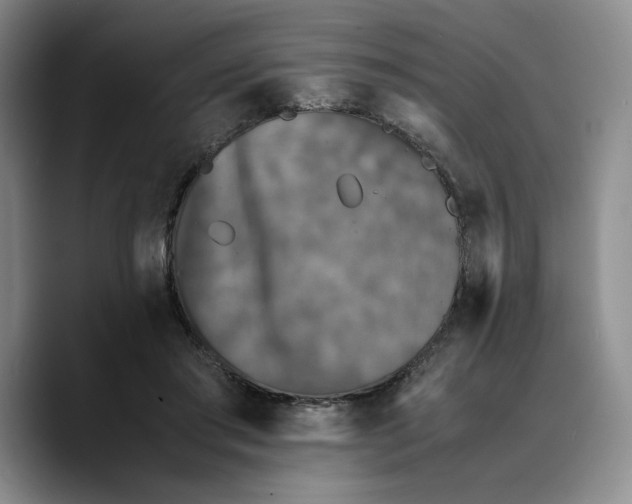 X0000089670405200707201643