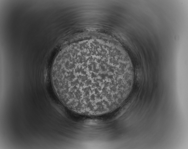 X0000089670408200707201643
