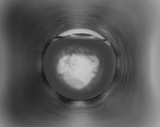 X0000089670409200707201643