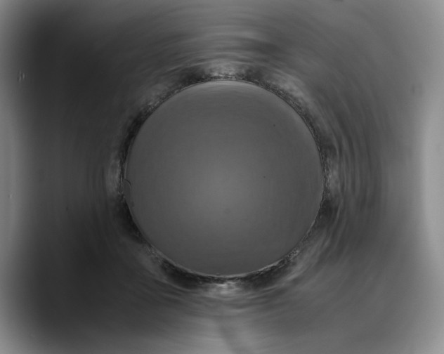 X0000089670411200707201643