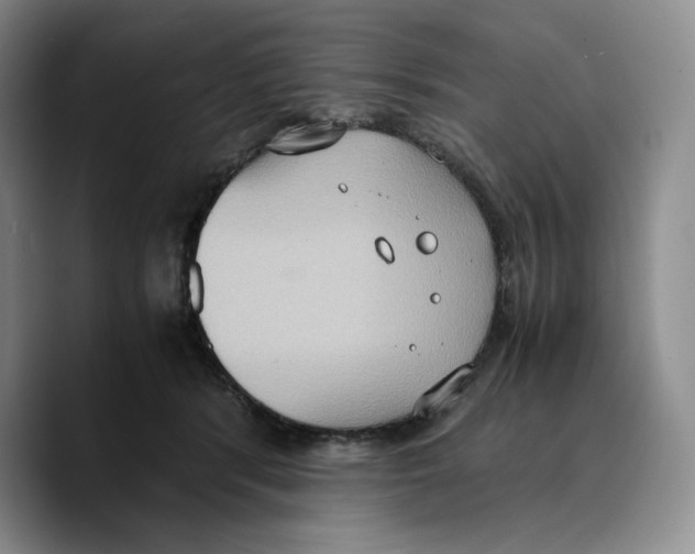 X0000089670416200707201643