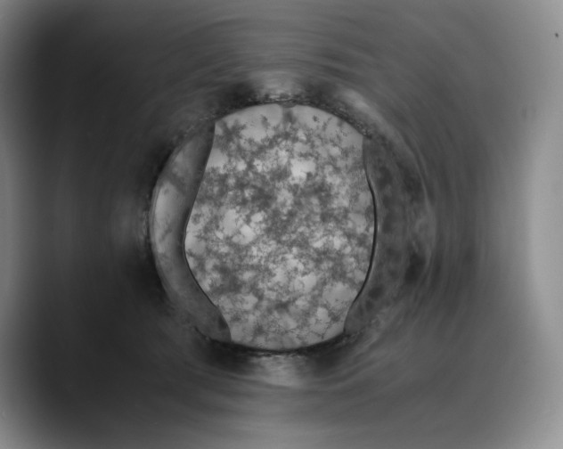 X0000089670417200707201643
