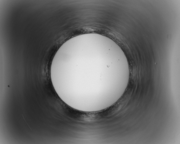 X0000089670418200707201643