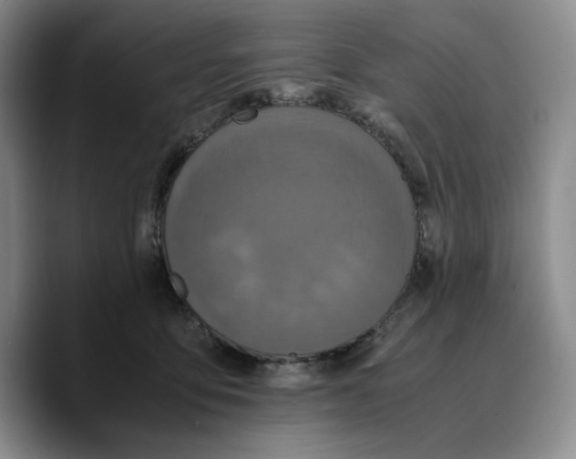 X0000089670419200707201643