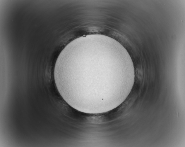 X0000089670422200707201643