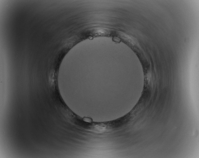 X0000089670423200707201643