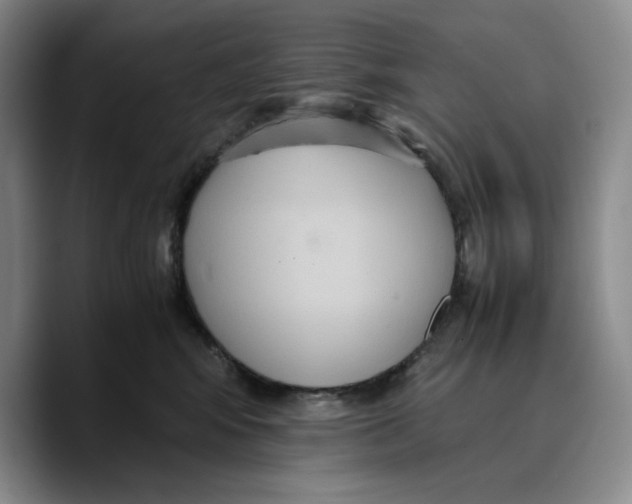 X0000089670424200707201643