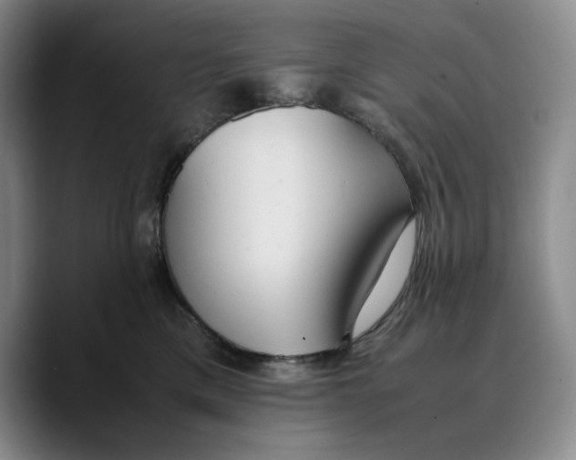 X0000089670425200707201643