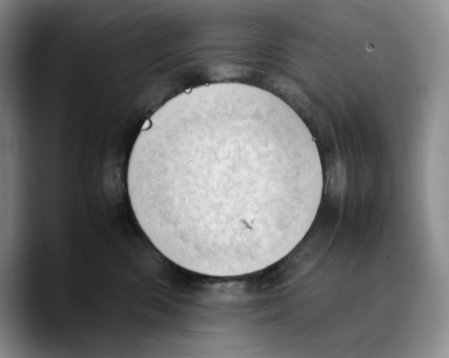 X0000089670426200707201643