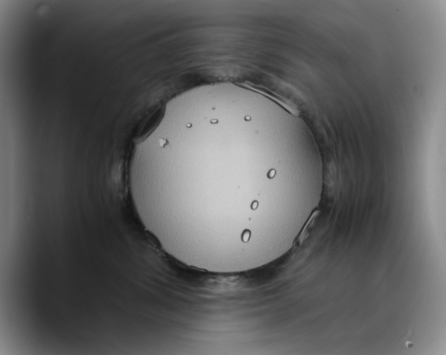 X0000089670428200707201643