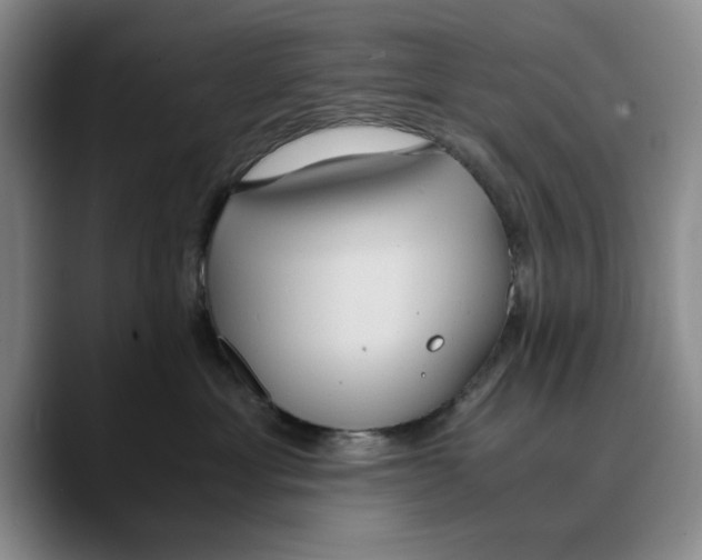 X0000089670429200707201643