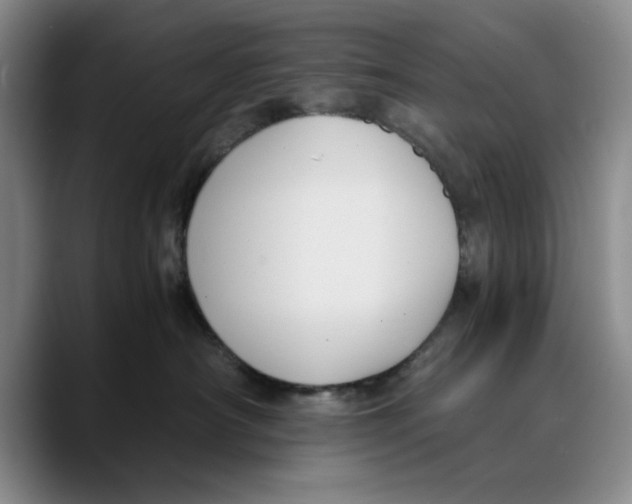 X0000089670430200707201643