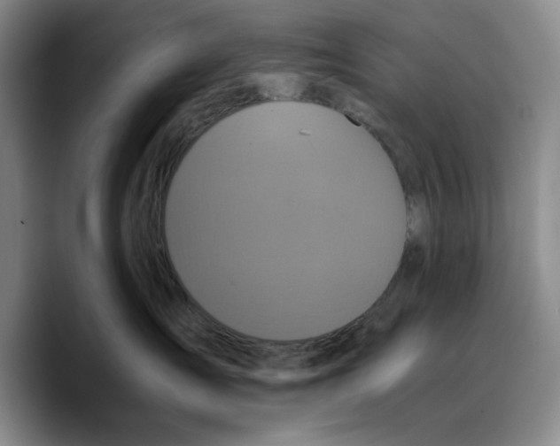 X0000089670431200707201643