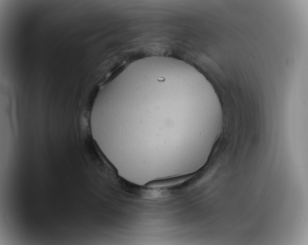 X0000089670432200707201643