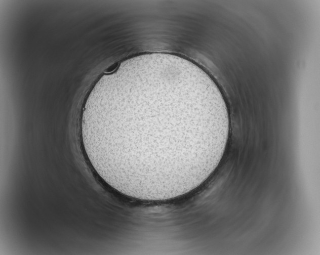 X0000089670433200707201642