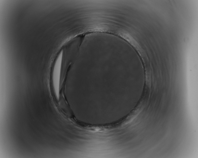 X0000089670434200707201642