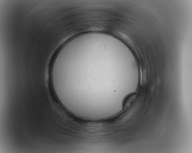 X0000089670435200707201642