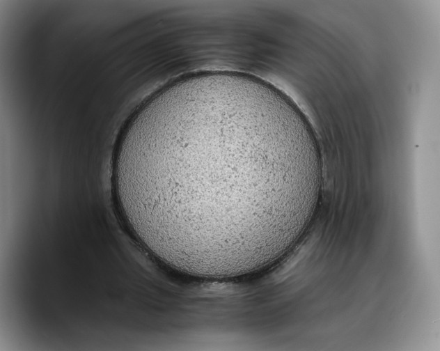 X0000089670437200707201642