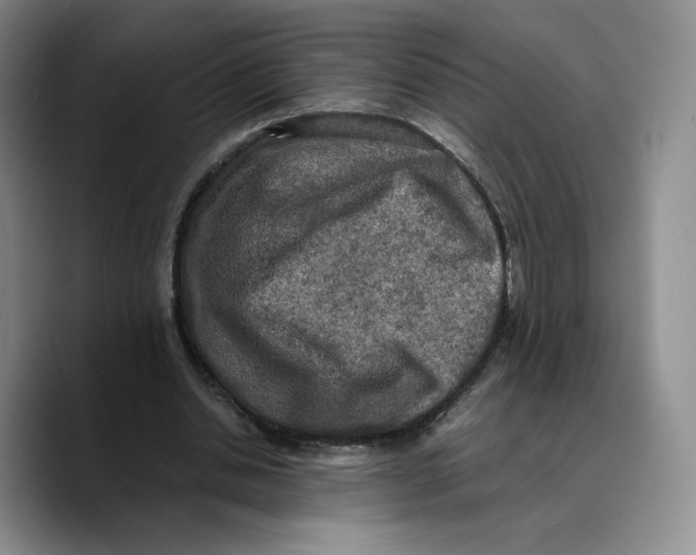 X0000089670438200707201642