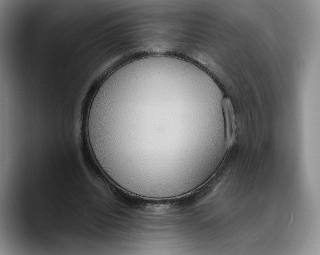 X0000089670440200707201642