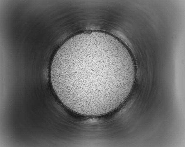 X0000089670441200707201642