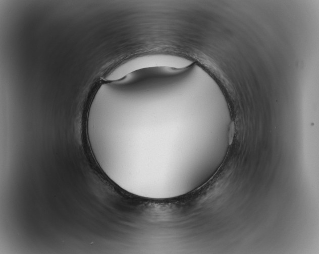 X0000089670442200707201642