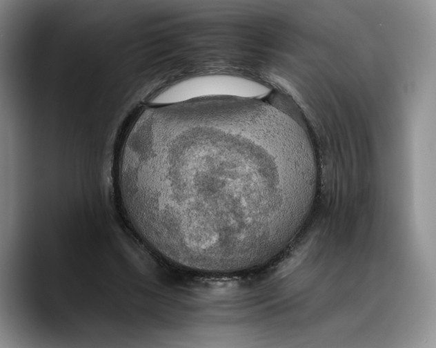 X0000089670443200707201642