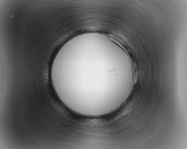 X0000089670446200707201642