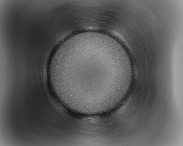 X0000089670447200707201642