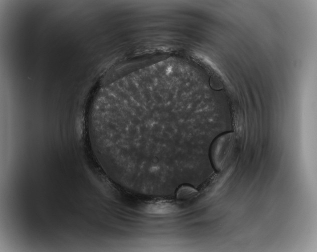X0000089670451200707201642